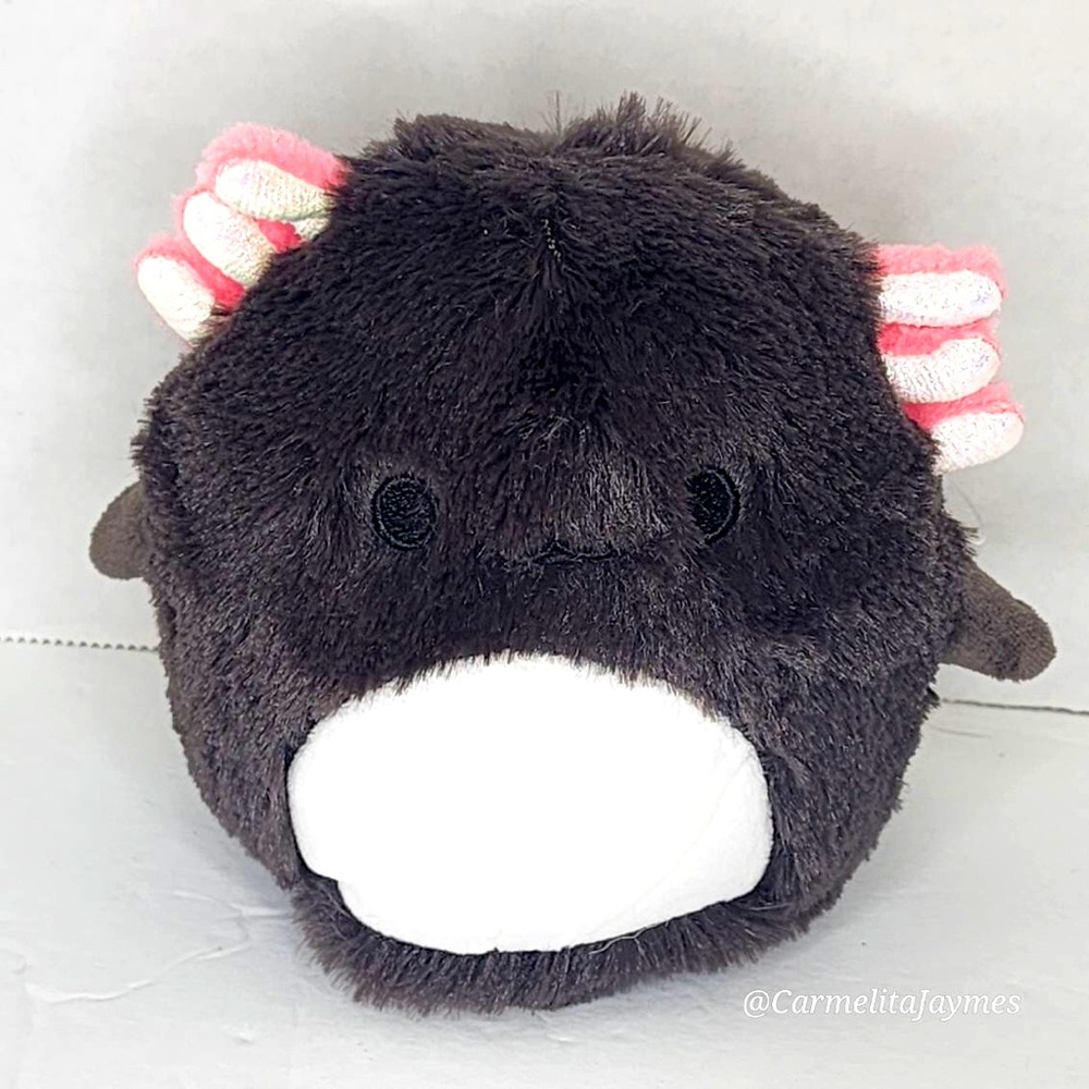 WON IN LIVE CLAW MACHINE JAEYLN 🦎Fuzzamallow Black & Pink Axolotl Squishmallow